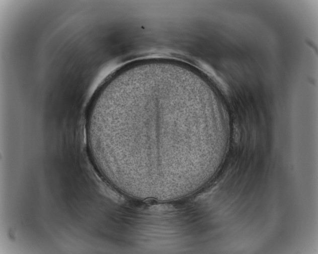 X0000097461368200803141842