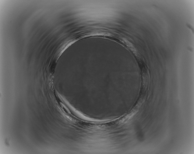 X0000097461369200803141842