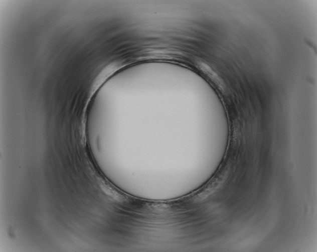 X0000097461370200803141842