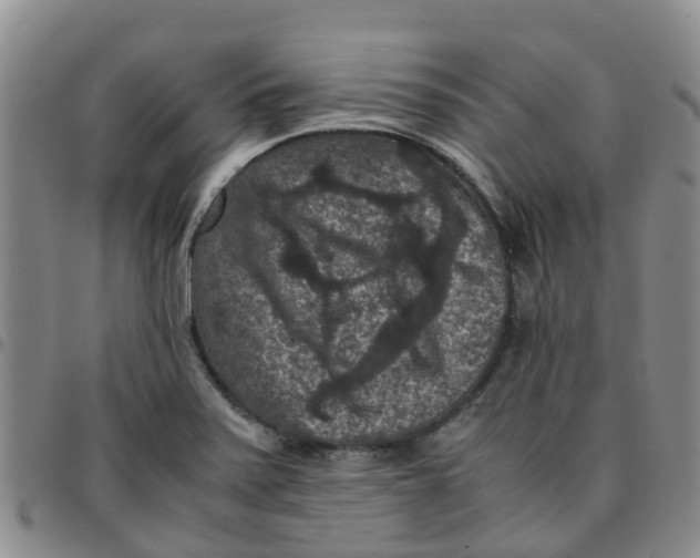 X0000097461371200803141842