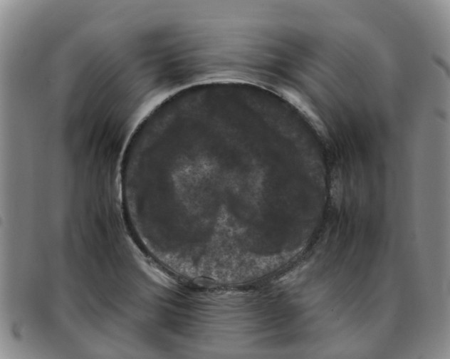 X0000097461372200803141842