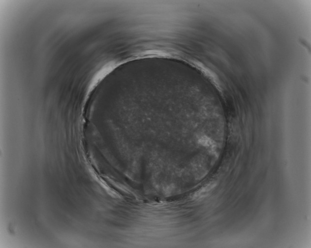 X0000097461373200803141842