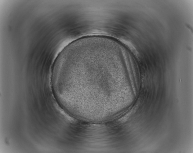 X0000097461374200803141842