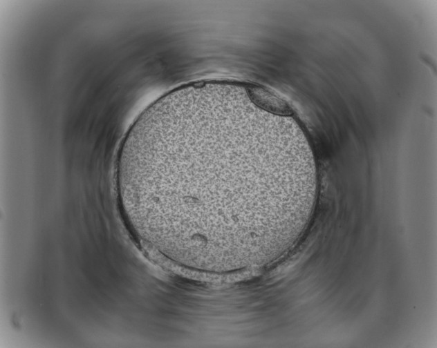 X0000097461375200803141842