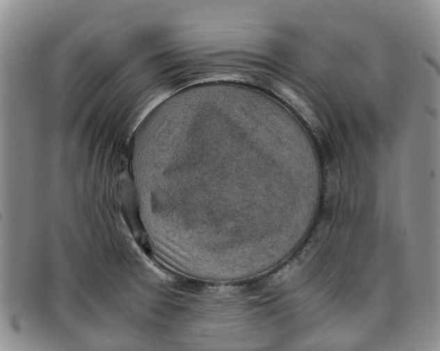 X0000097461377200803141842