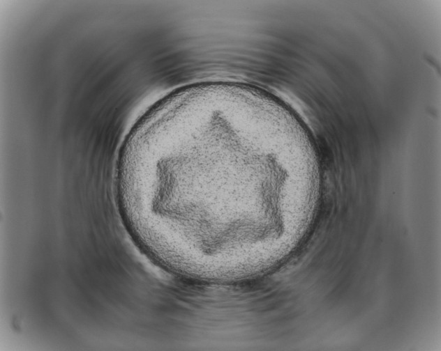 X0000097461379200803141842