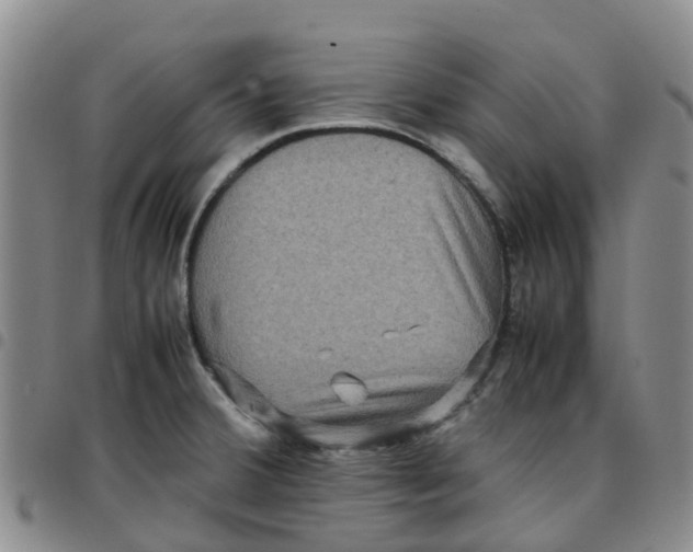 X0000097461380200803141842