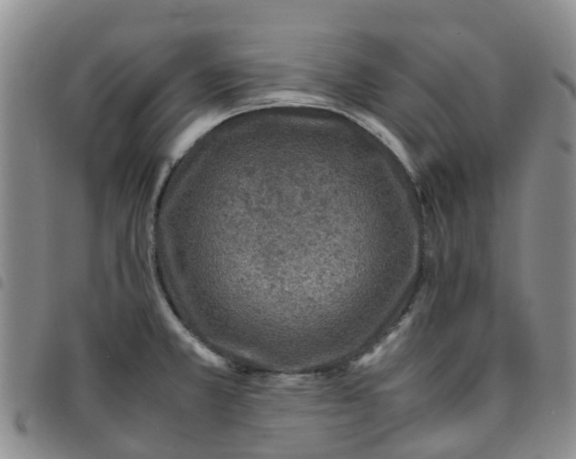 X0000097461381200803141842