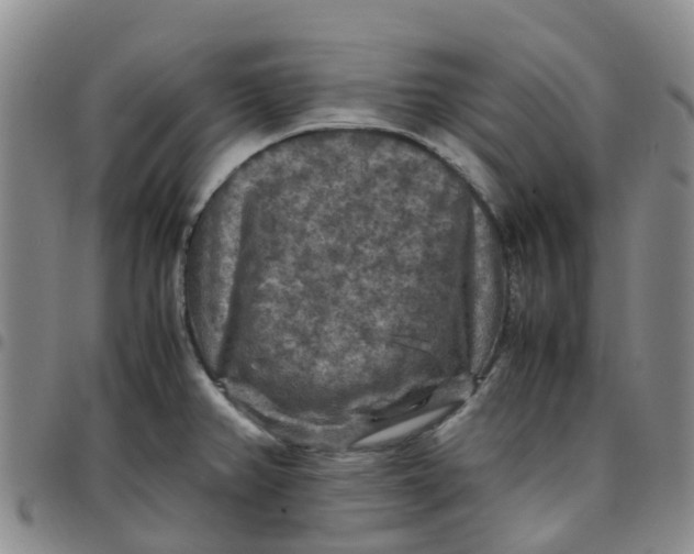 X0000097461382200803141842