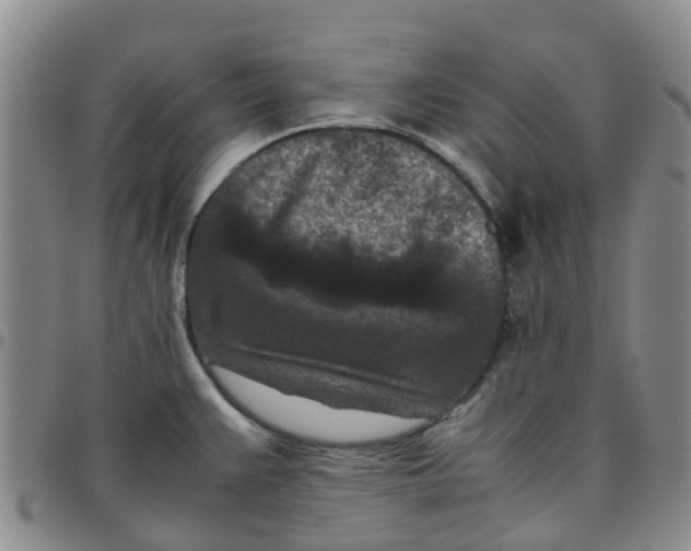 X0000097461383200803141842