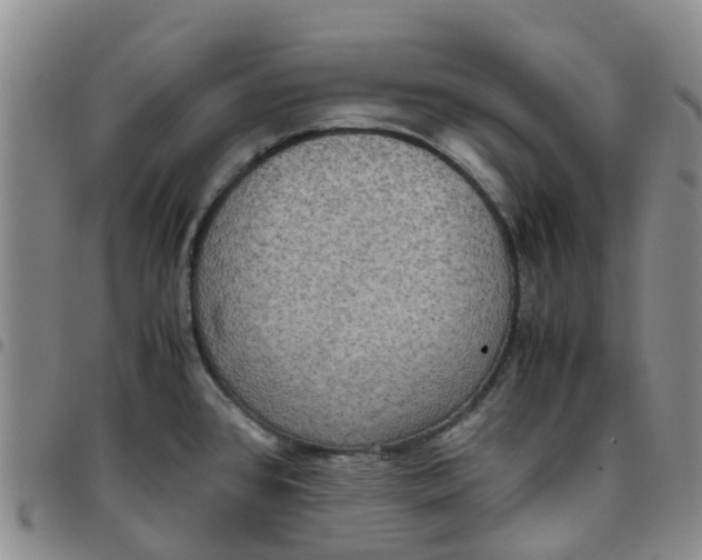 X0000097461384200803141842