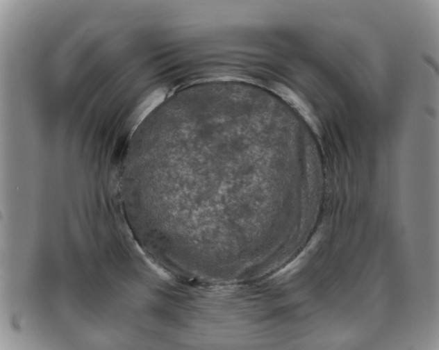 X0000097461385200803141842