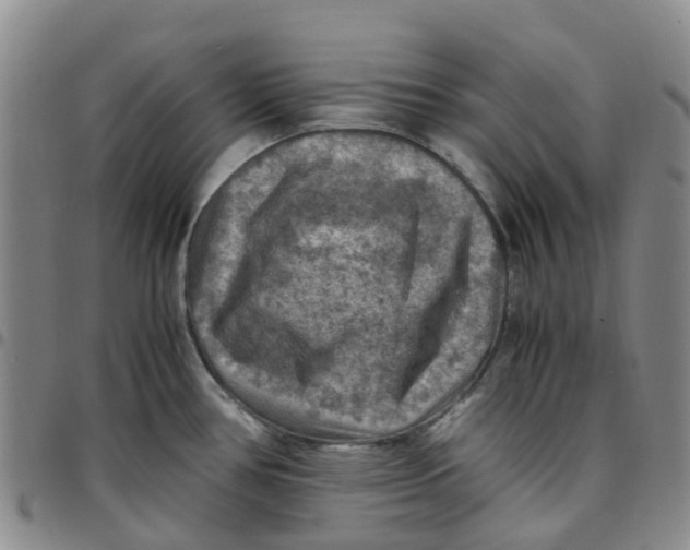 X0000097461386200803141842