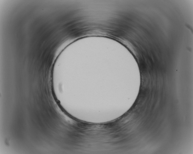 X0000097461387200803141842