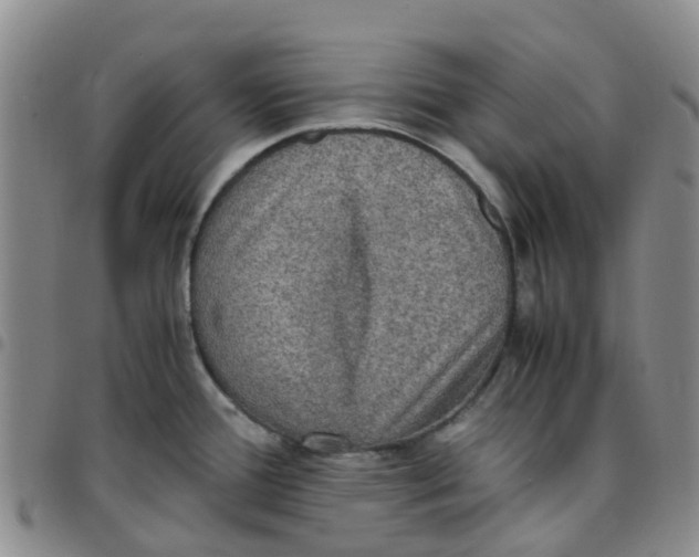 X0000097461388200803141842