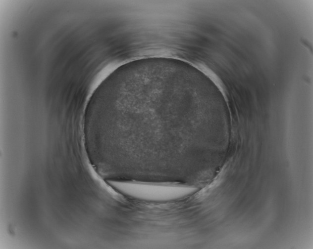 X0000097461389200803141842