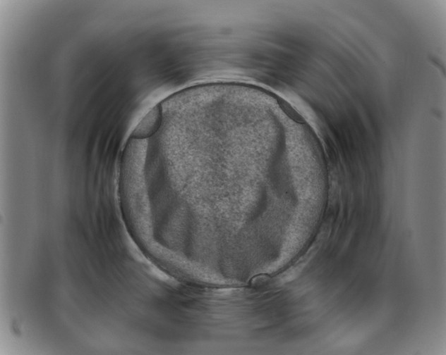 X0000097461390200803141842