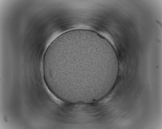 X0000097461391200803141842