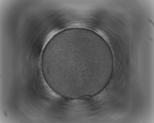 X0000097461392200803141842