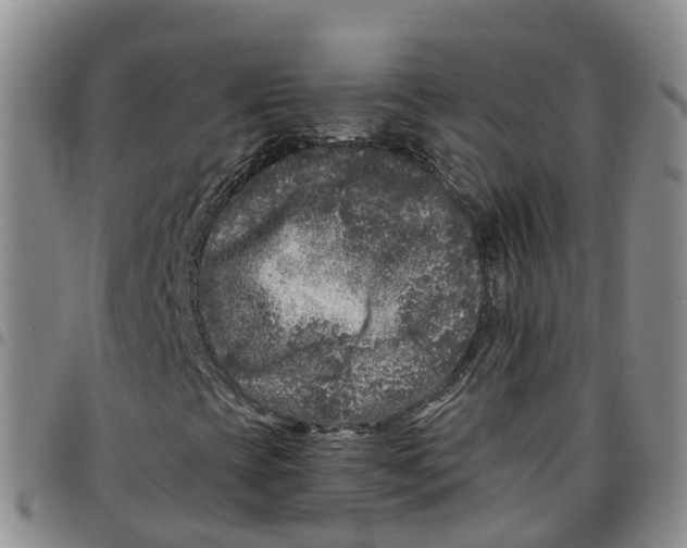 X0000097461393200803141841