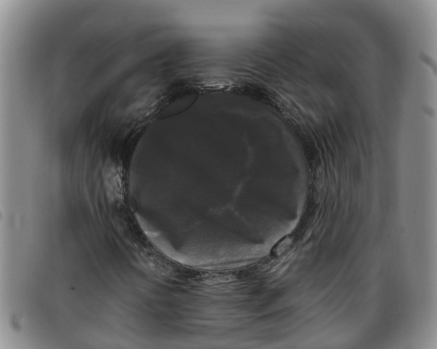 X0000097461394200803141841