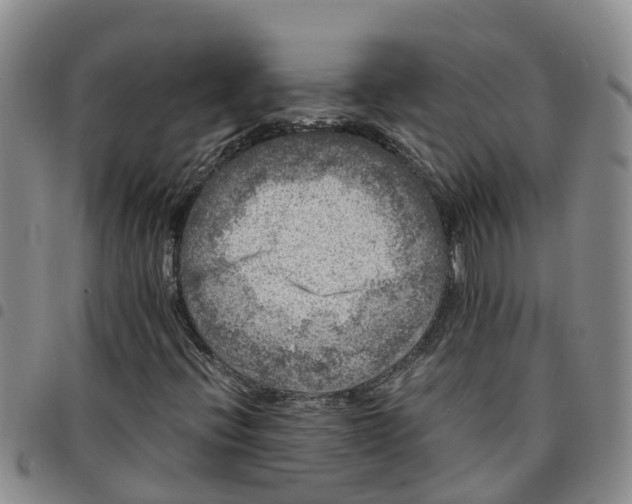 X0000097461396200803141841