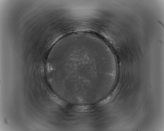 X0000097461401200803141841