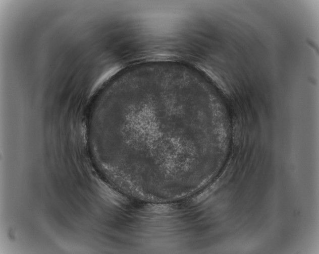 X0000097461402200803141841