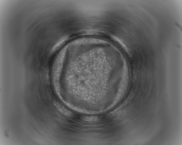 X0000097461403200803141841