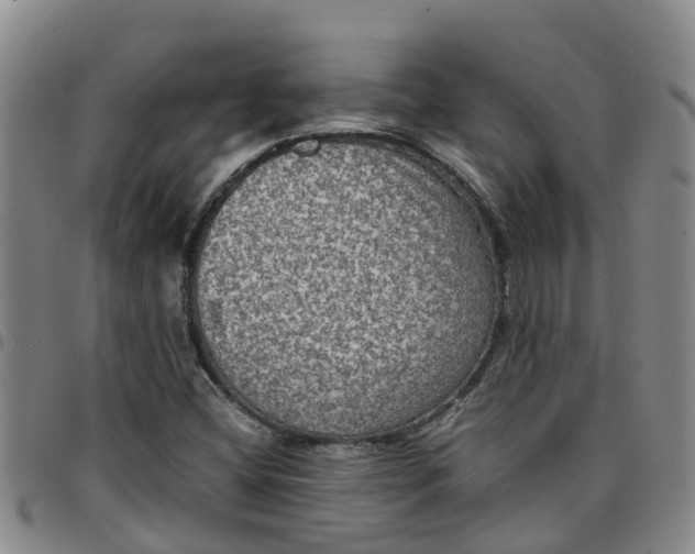 X0000097461404200803141841