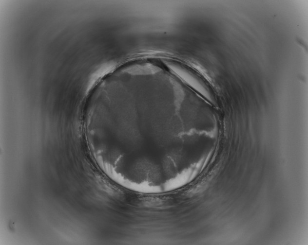 X0000097461405200803141841