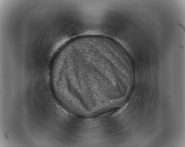 X0000097461406200803141841