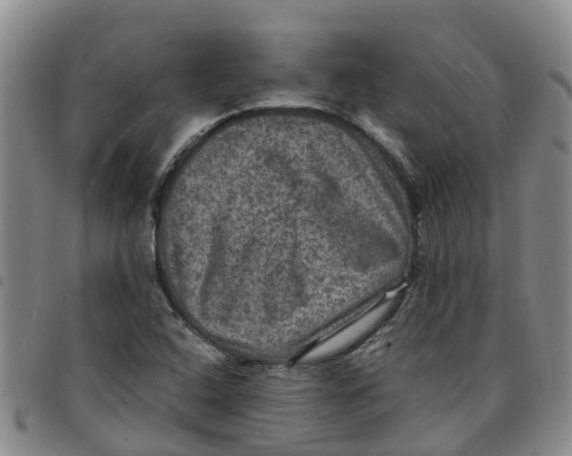 X0000097461408200803141841