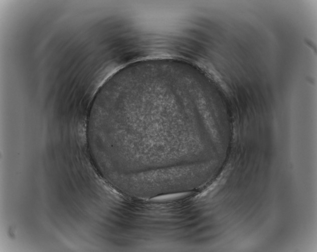 X0000097461409200803141841