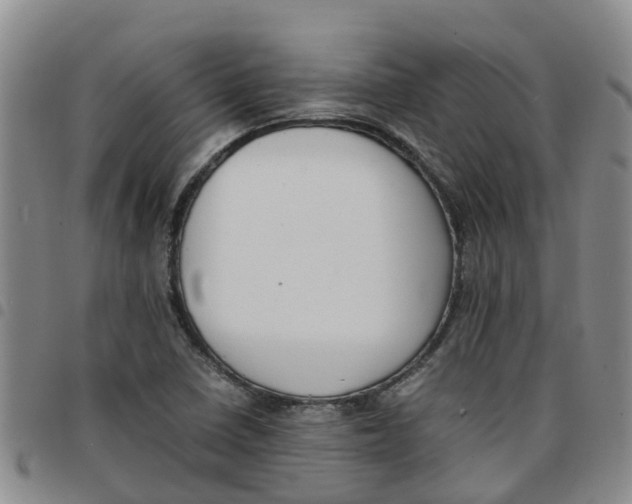 X0000097461410200803141841