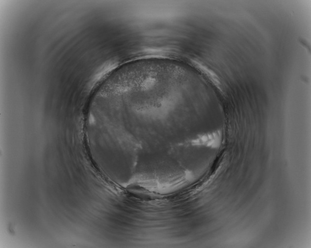 X0000097461411200803141841