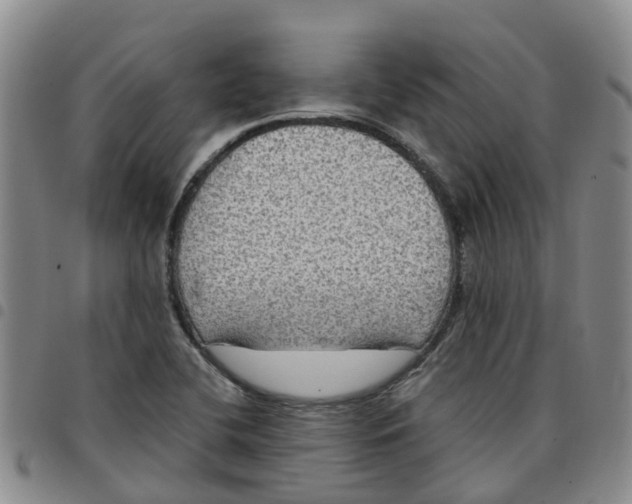 X0000097461412200803141841