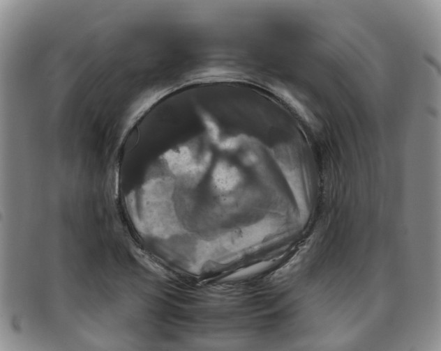 X0000097461413200803141841