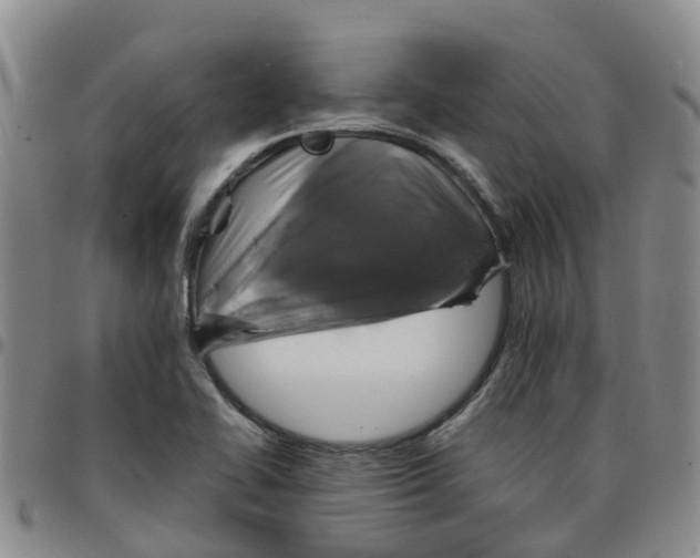 X0000097461414200803141841