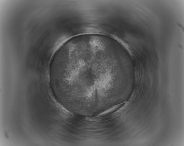 X0000097461415200803141841