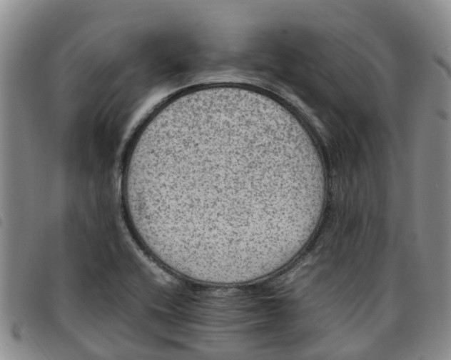 X0000097461416200803141841