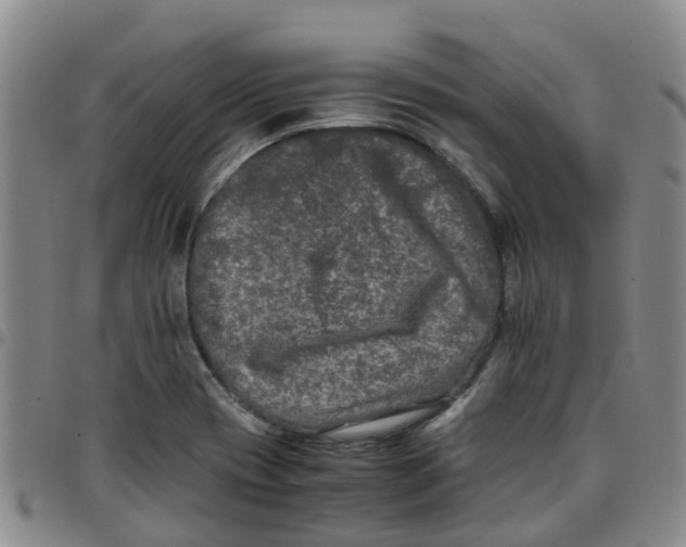 X0000097461417200803141841