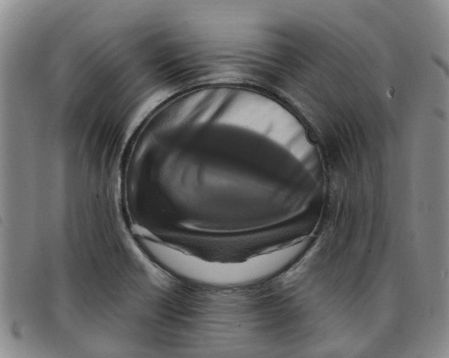 X0000097461418200803141841