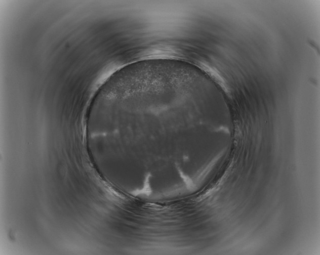 X0000097461419200803141841