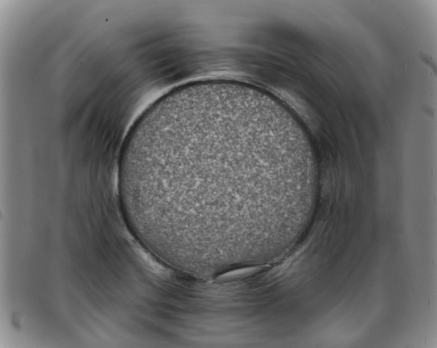 X0000097461420200803141841