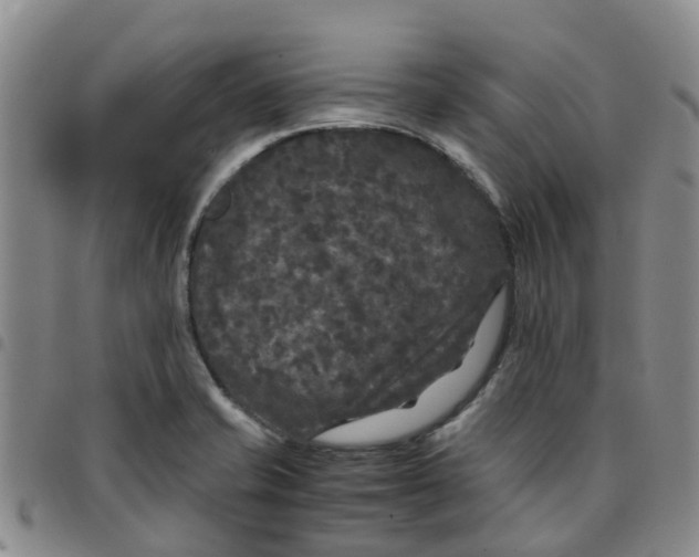 X0000097461421200803141841