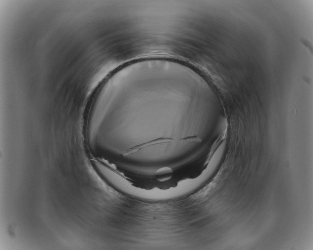 X0000097461422200803141841