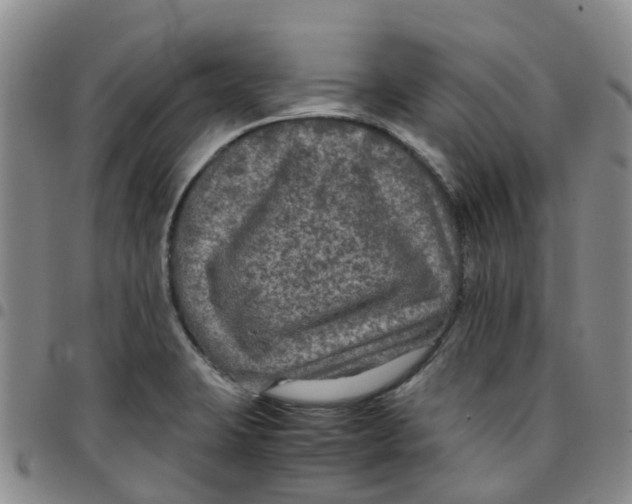 X0000097461423200803141841