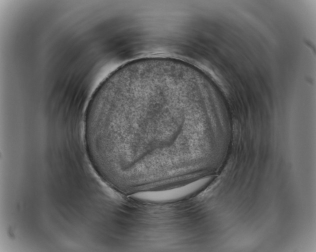 X0000097461424200803141841