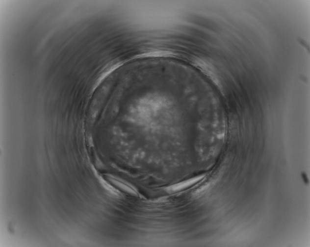 X0000097461425200803141841